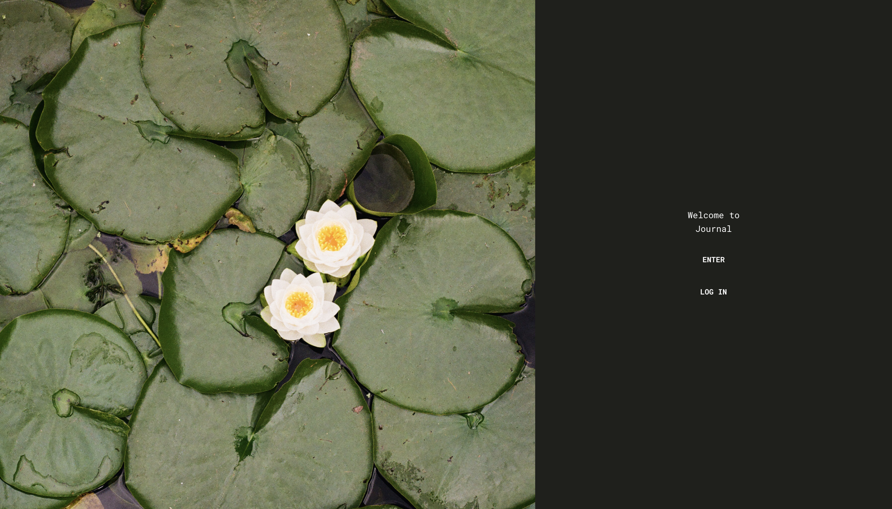 project screenshot